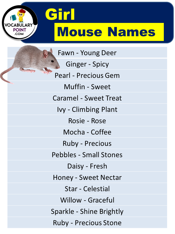 Girl Mouse Names