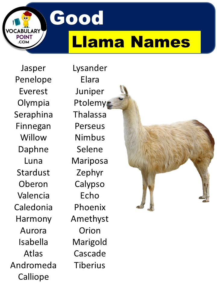 Good Llama Names