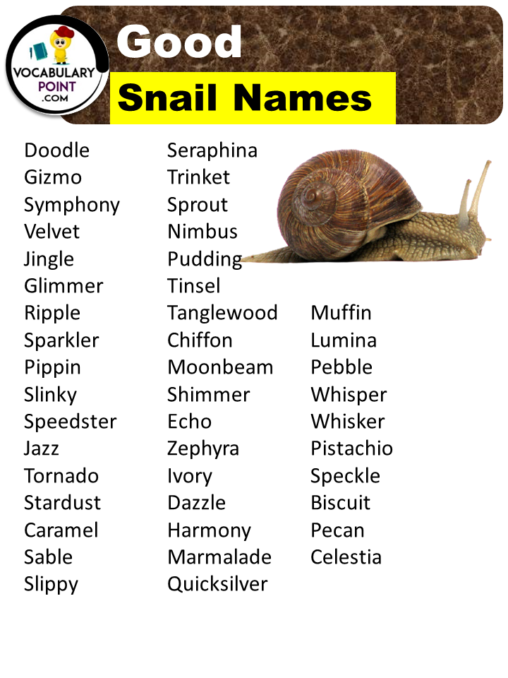 Good Names For A Snail