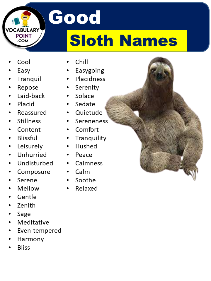 Good Names For Sloths