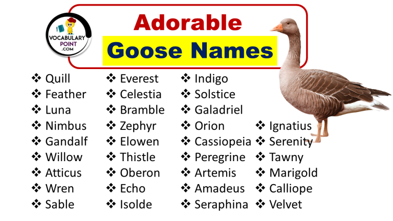 Adorable Goose Names (Funny, Creative, Male & Female) - Vocabulary Point