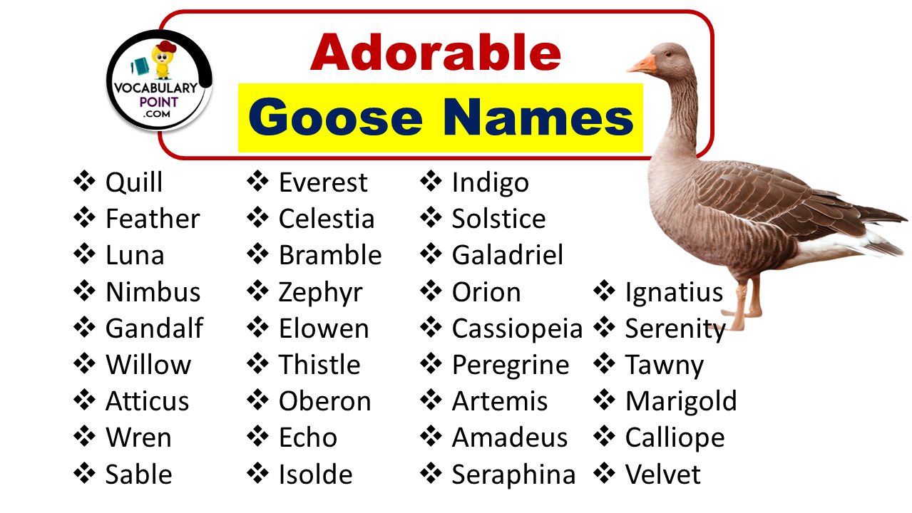 Goose Names