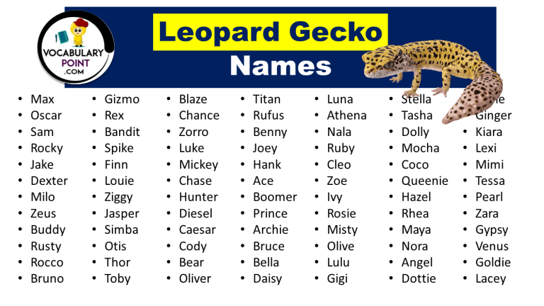 400 Creative Leopard Gecko Names (Male, Female & Funny) - Vocabulary Point