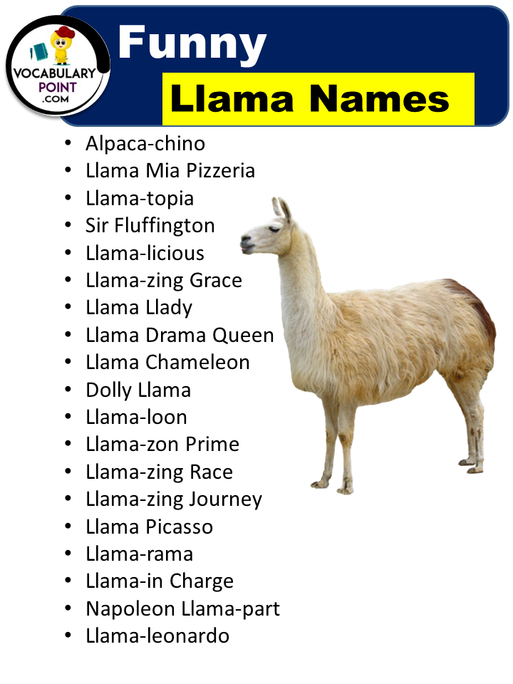 Llama Names Funny