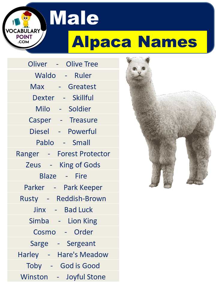 Male Alpaca Names