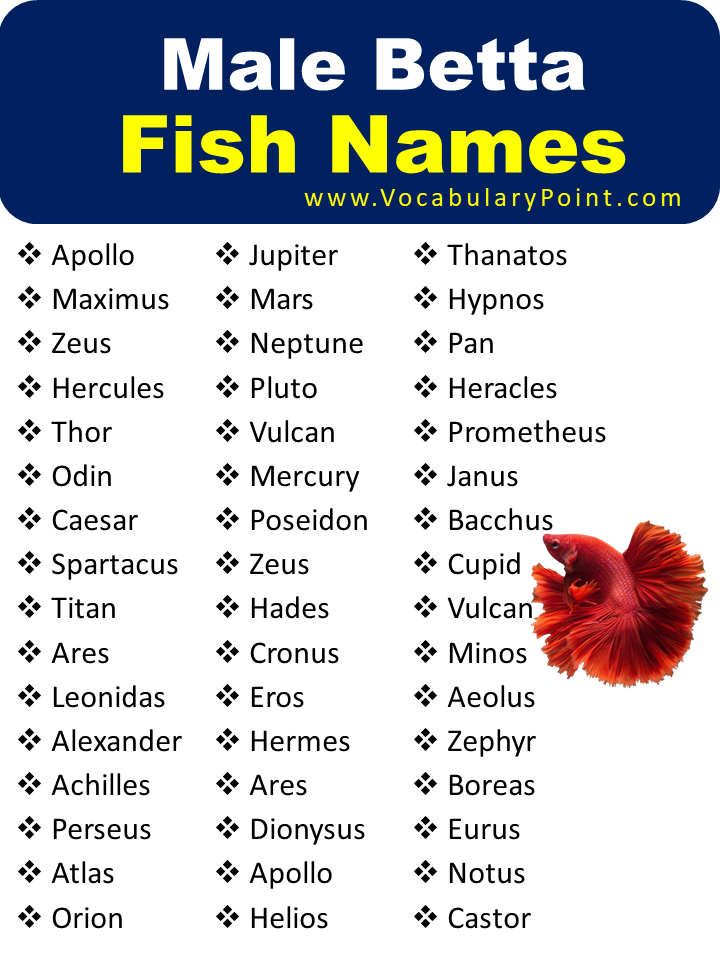 Male Betta Fish Names
