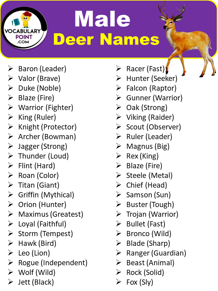 300 Best Deer Names Pet Cute Cool Vocabulary Point