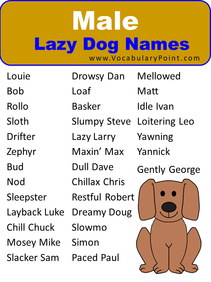 Lazy Dog Names (Funny Names for Lazy Pet Dogs) - Vocabulary Point