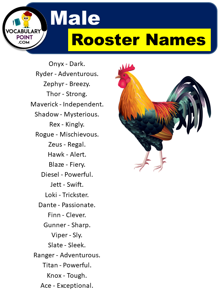 Male Rooster Names