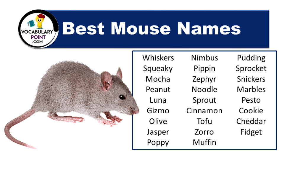 600-best-mouse-names-cool-cute-funny-vocabulary-point