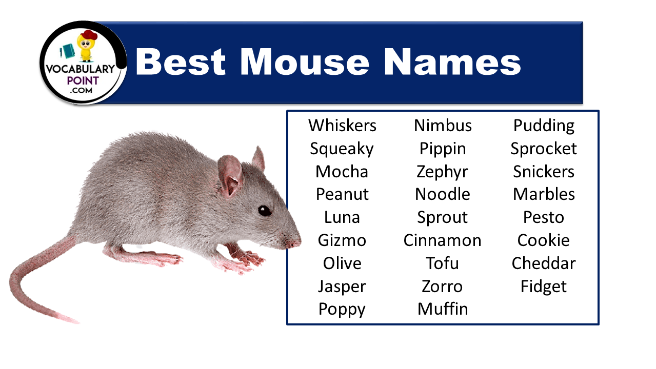 Mouse Names