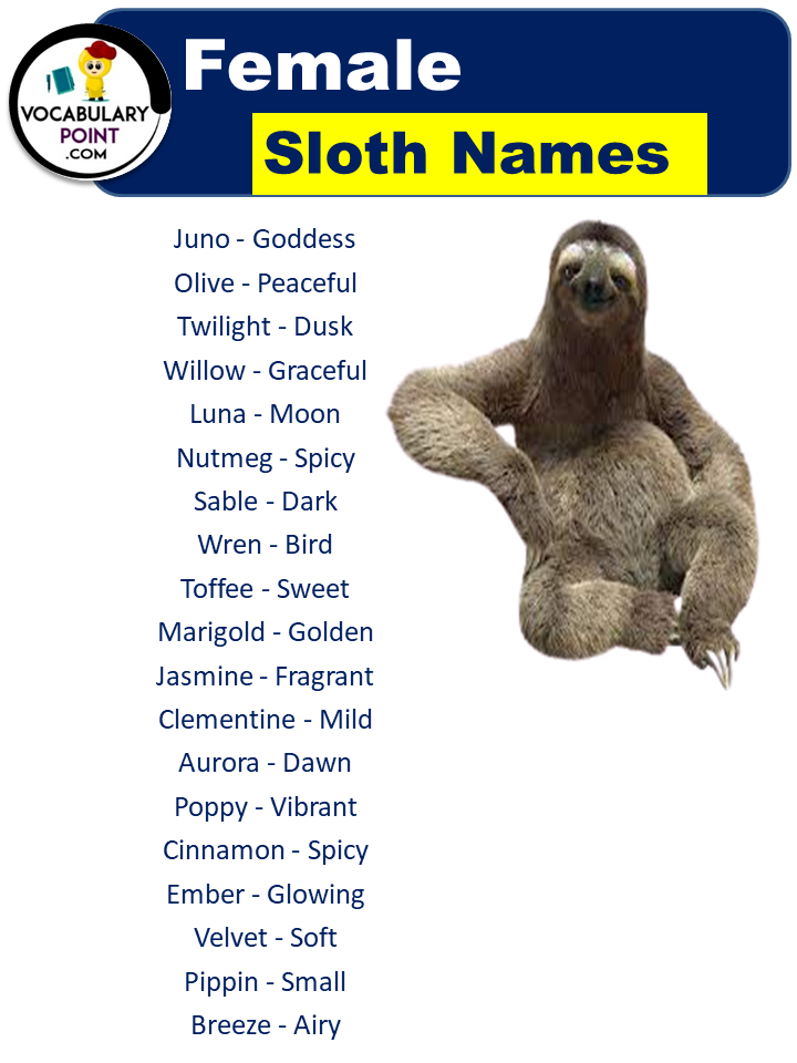 Names For Female Sloths
