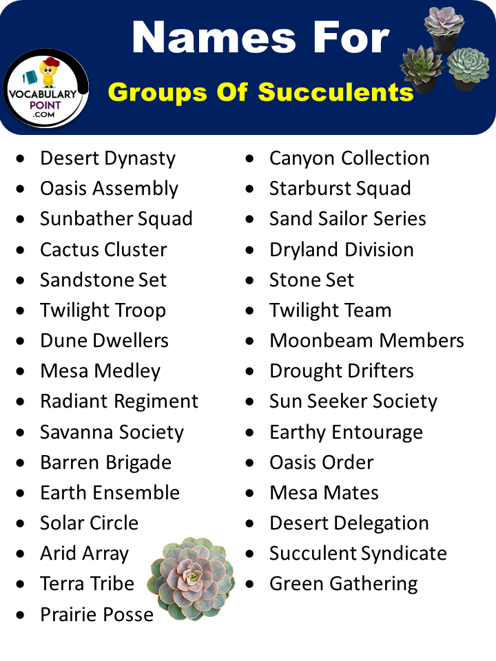 Names For Groups Of Succulents