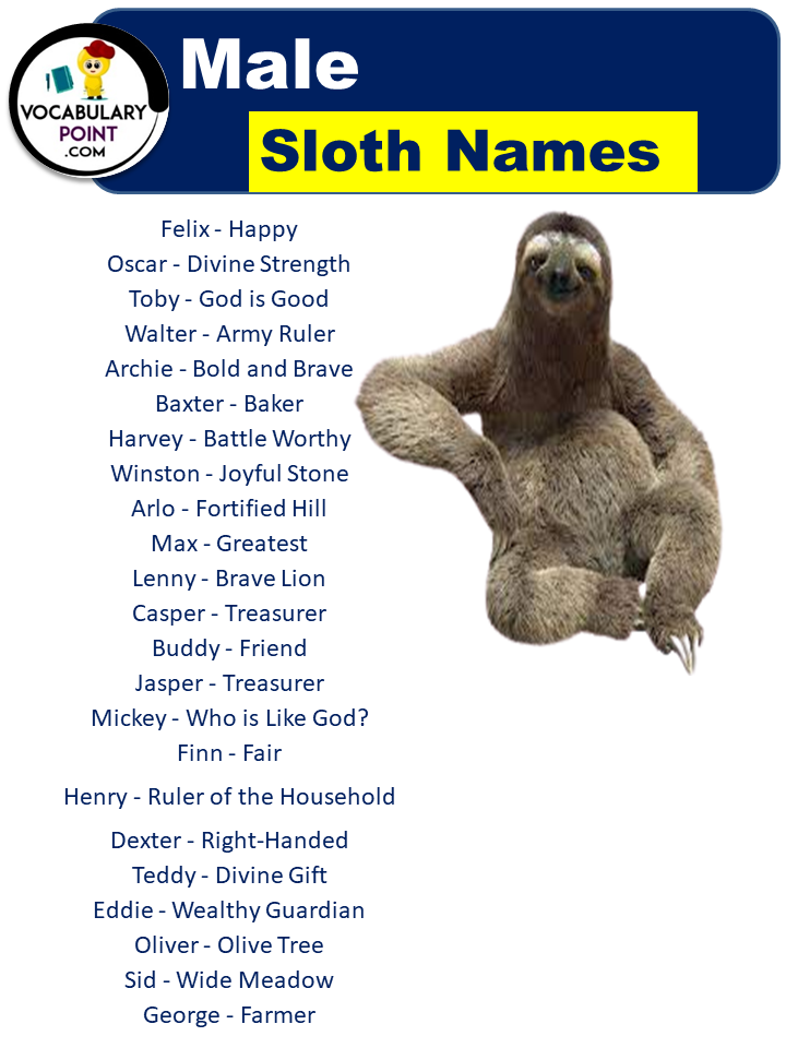 Names For Male Sloths