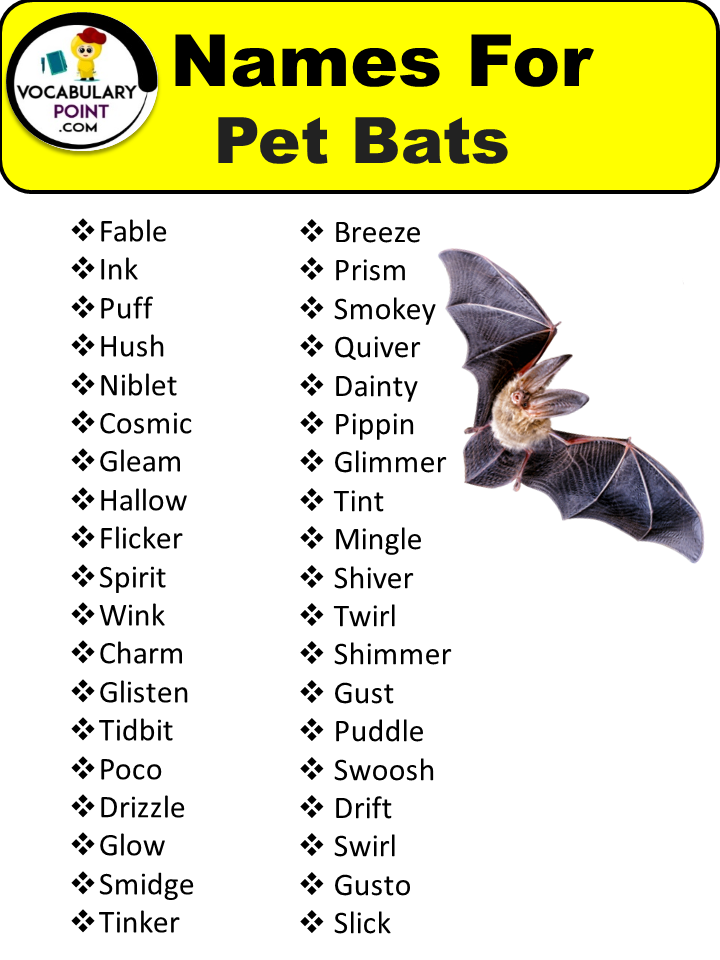 Names For Pet Bats