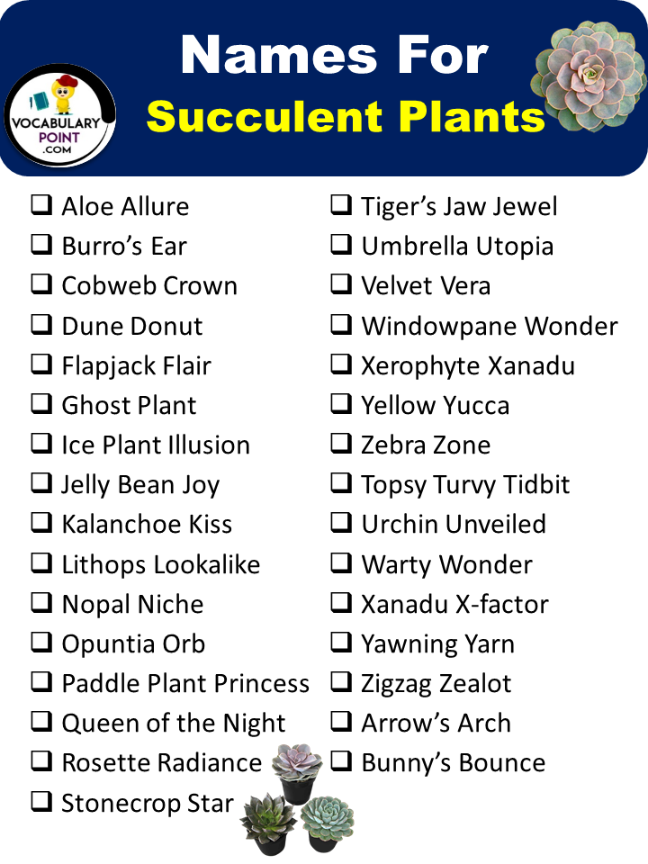 Names For Succulent Plants