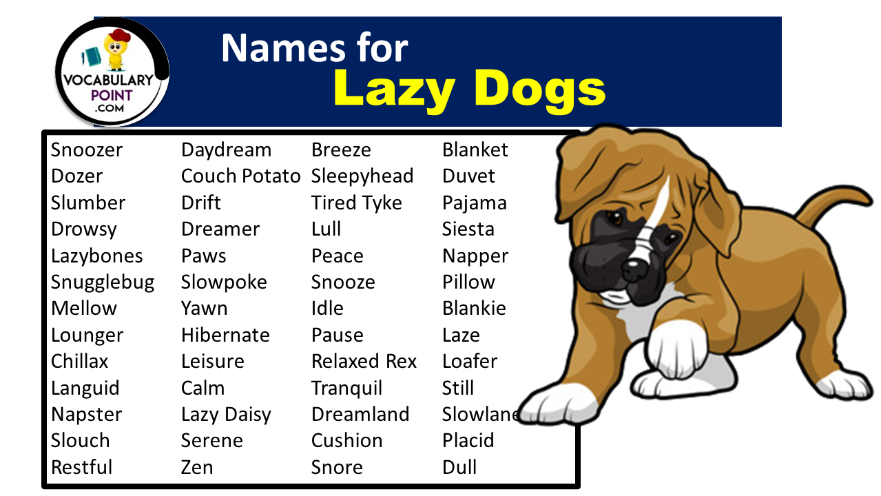 Lazy Dog Names