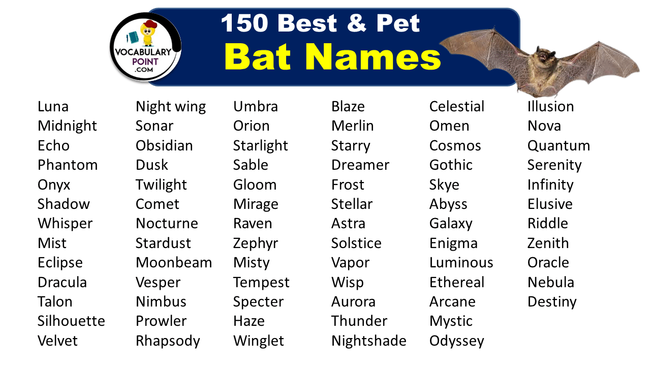 Names for Pet Bats, Bat Names