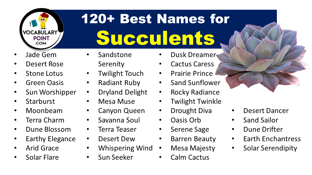 Names for Succulents