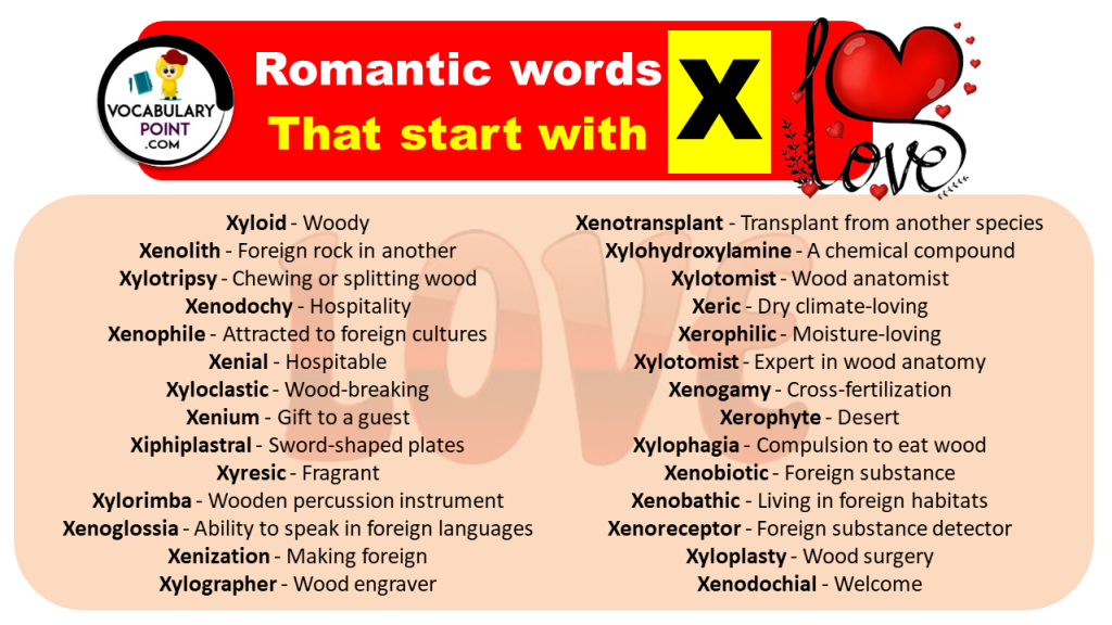 romantic-words-that-start-with-x-love-words-with-x-vocabulary-point