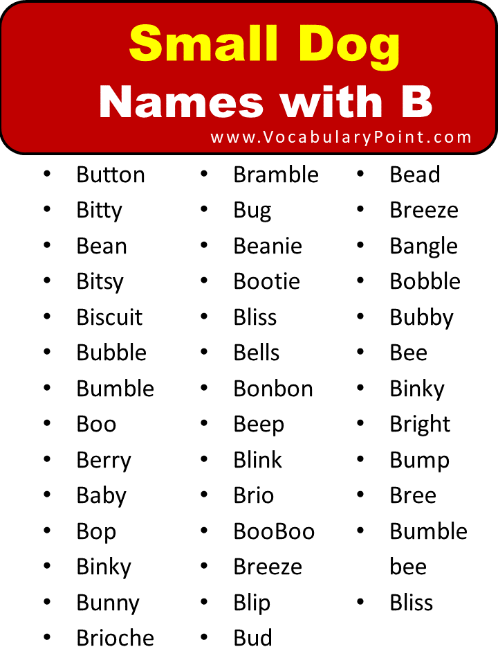 Small Dog Names with B