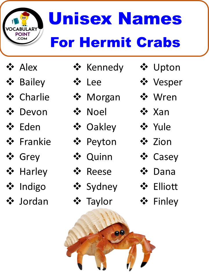 250+ Best Hermit Crab Names (Cute, Funny and Cool ideas) - Vocabulary Point