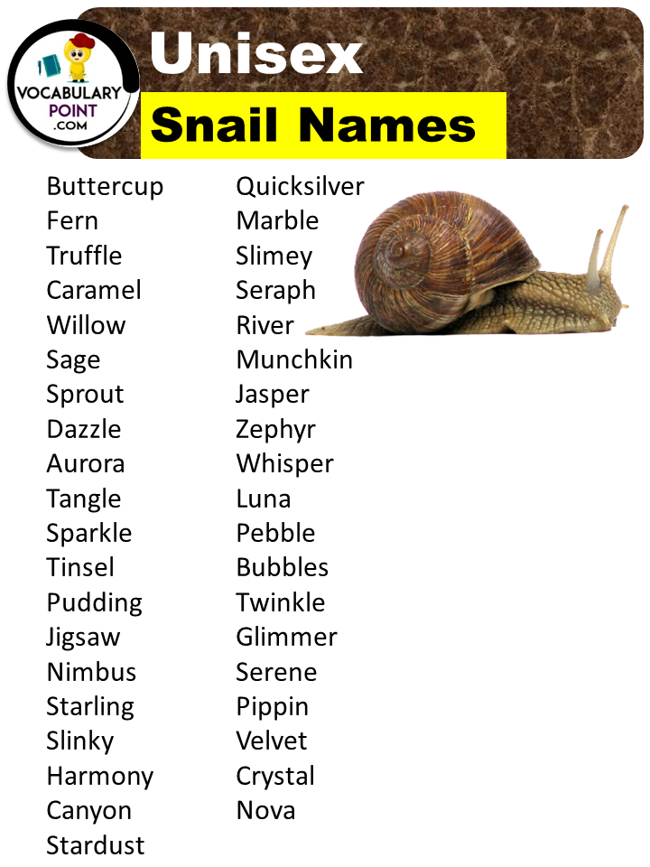 Unisex Names For Snails