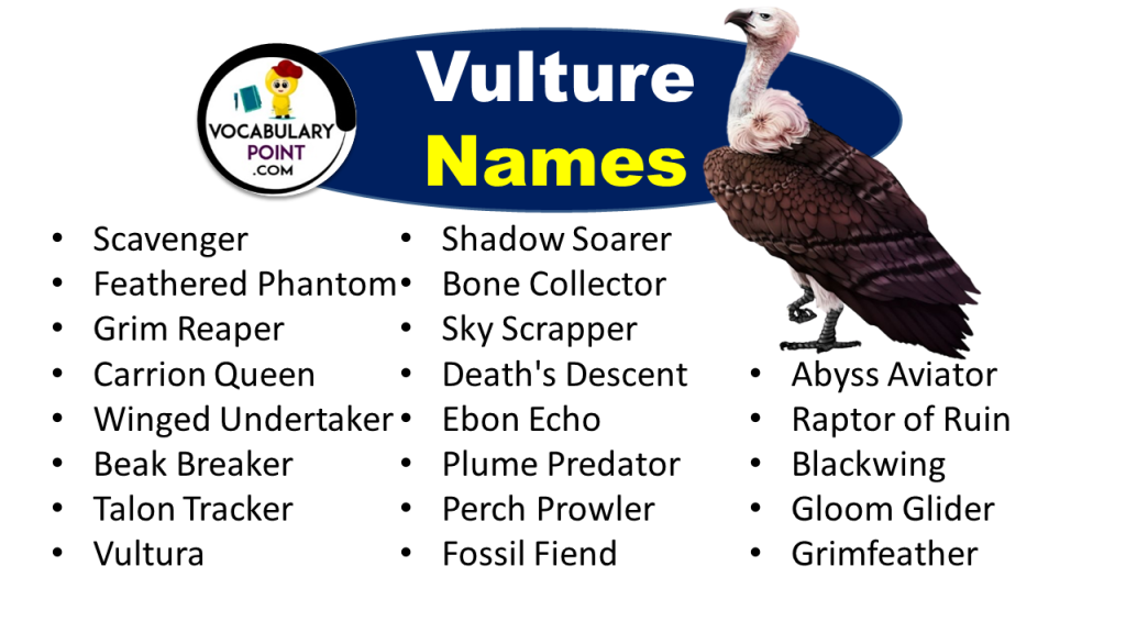 Best Vulture Names (Funny, Famous, Male & Female Names) Vocabulary Point