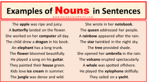 120+ Examples of Nouns In Sentences In English - Vocabulary Point