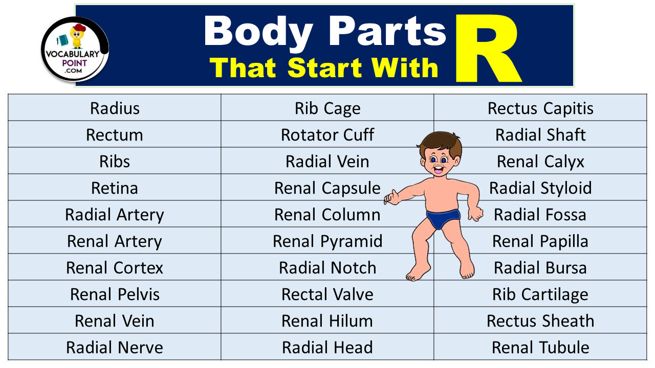 Body Parts That Start With R