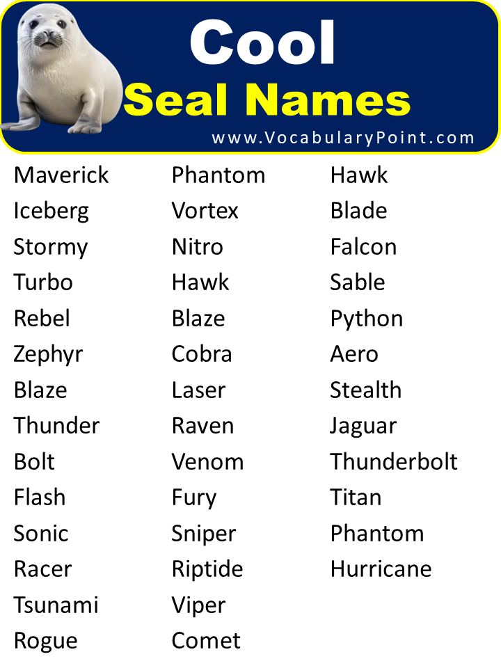 Seal Names Cute Funny Name Ideas Vocabulary Point