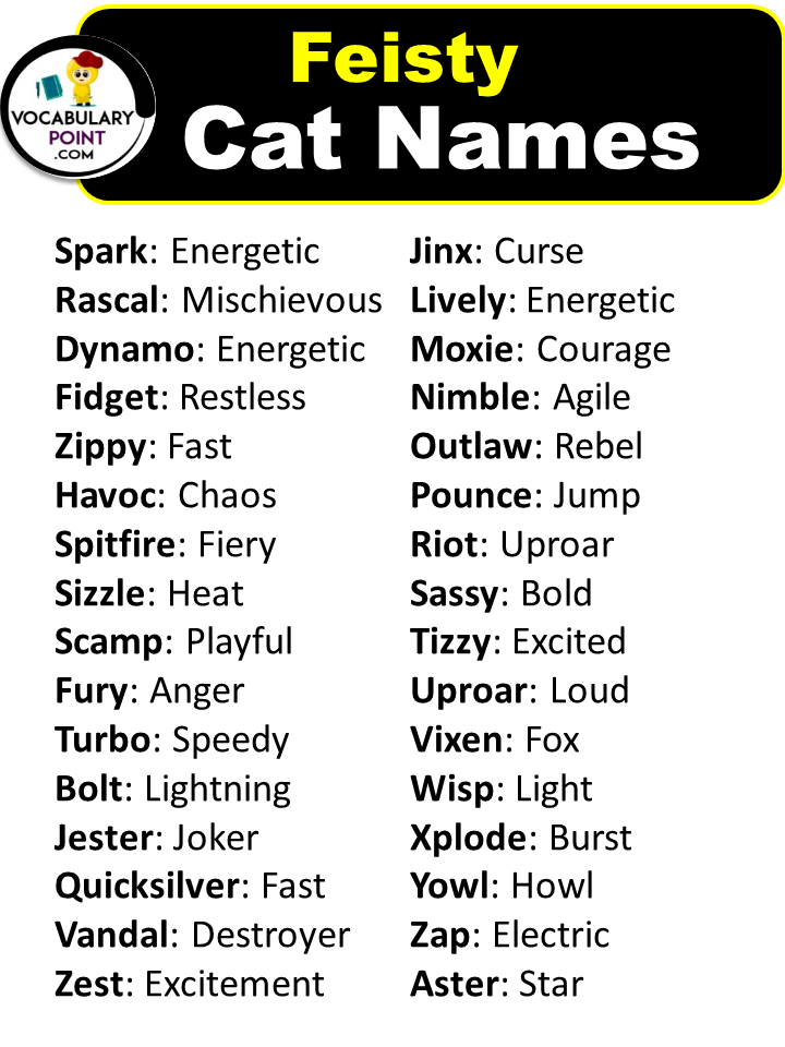 Feisty Cat Names