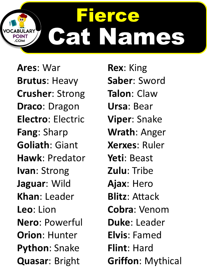 Fierce Cat Names