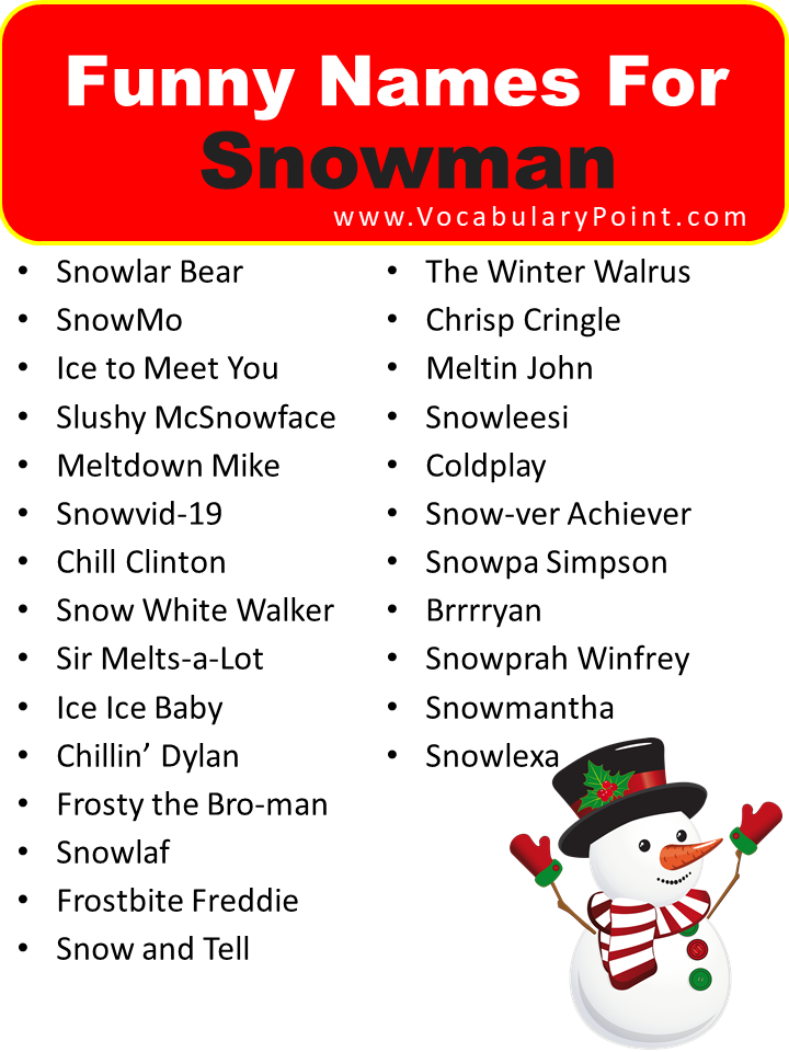 Funny Names For Snowman