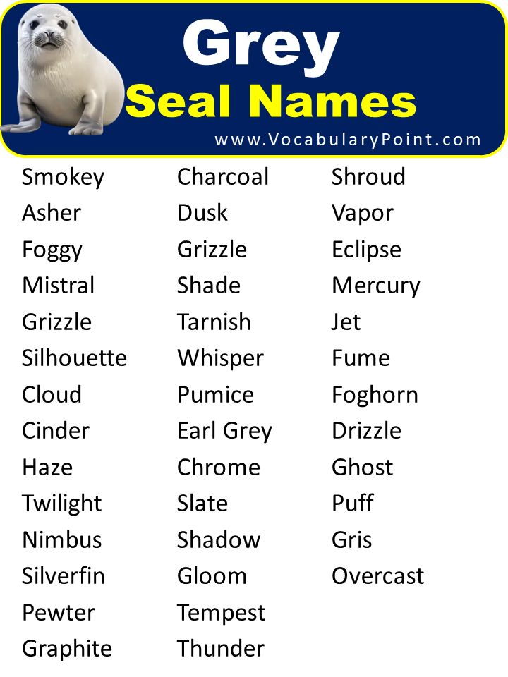 Grey Seal Names