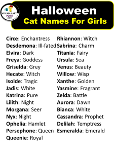 250 Best Halloween Cat Names (Spooky, Badass With Meaning) - Vocabulary ...