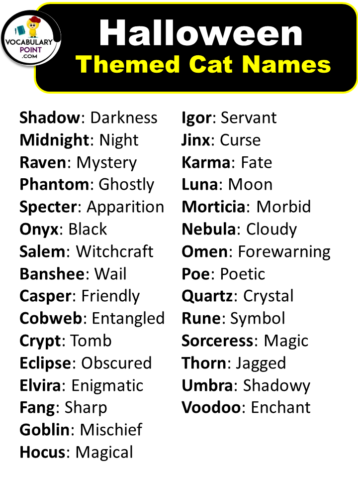 250 Best Halloween Cat Names (Spooky, Badass With Meaning) - Vocabulary ...