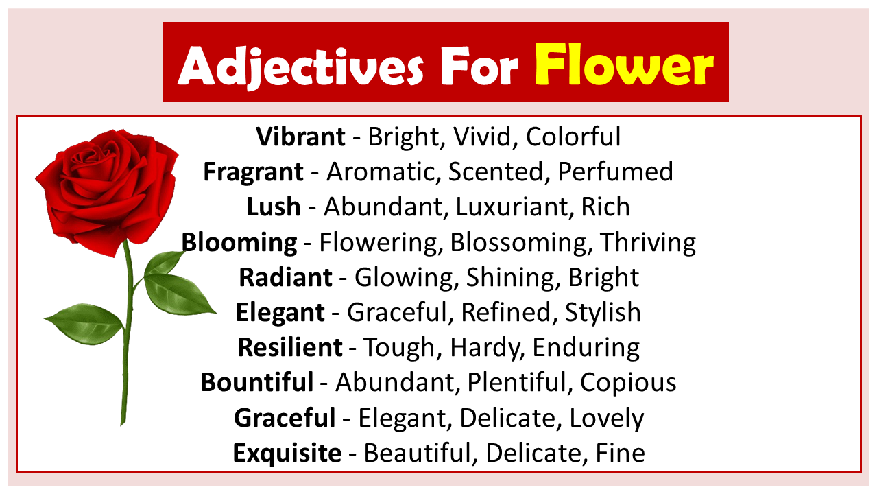 Adjectives For Flower