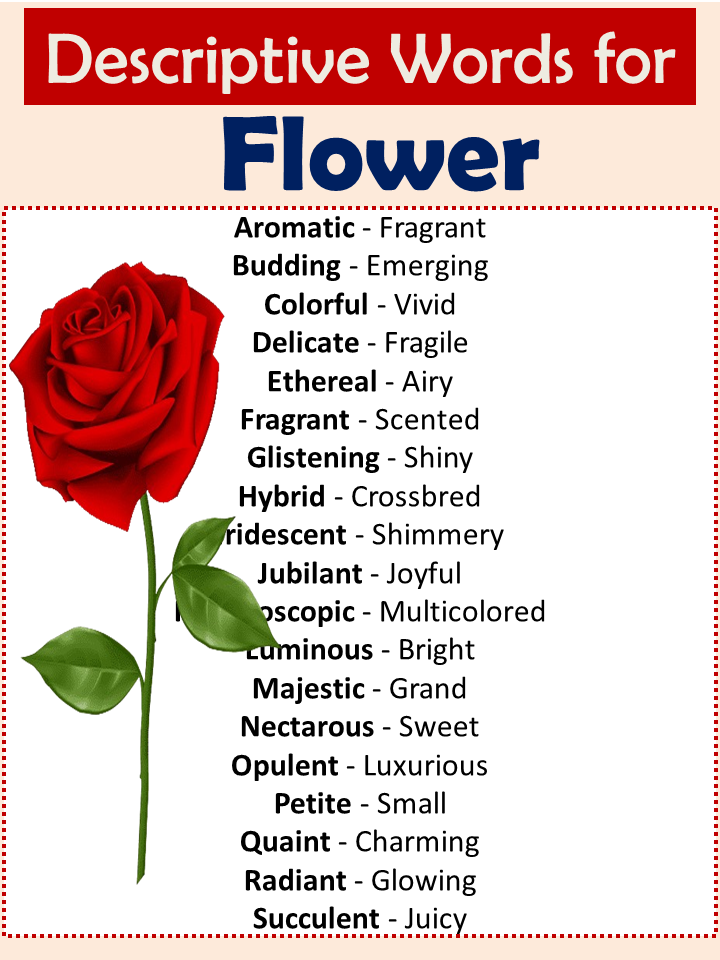 Descriptive Words For Flower