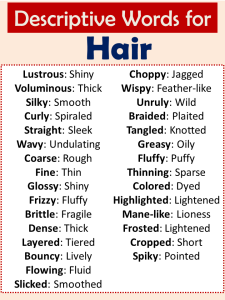 Adjectives for Hair (Descriptive Words for Hair) - Vocabulary Point