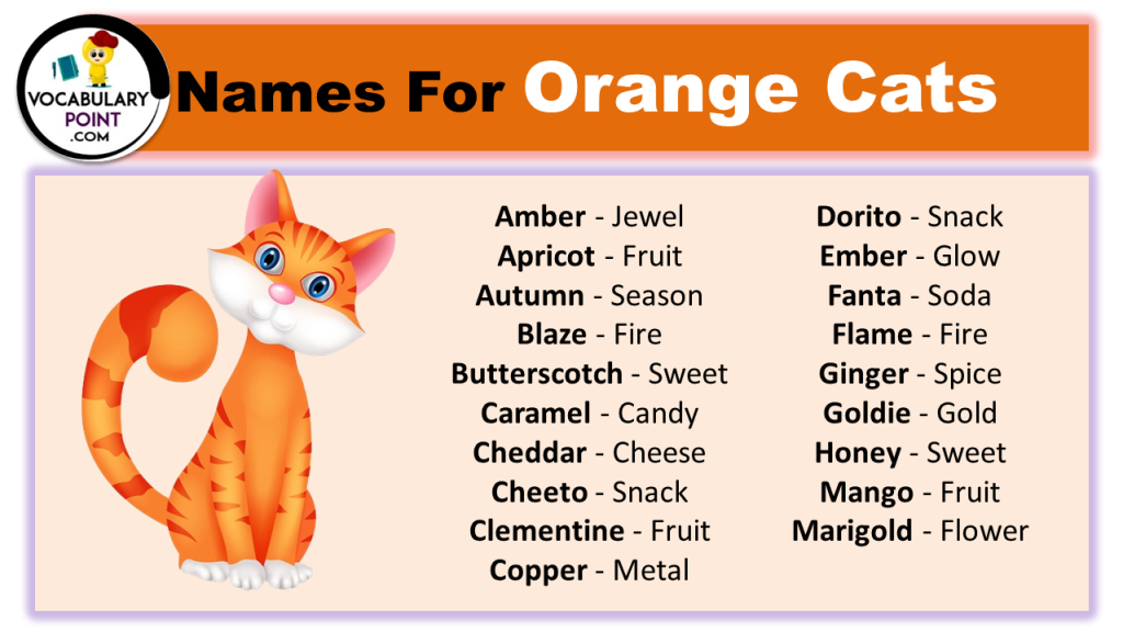 270+ Best Names For Orange Cats - Vocabulary Point