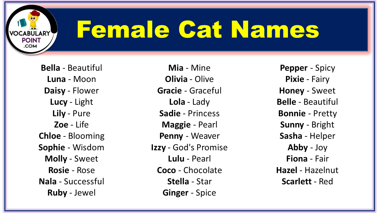 Cute Names For Female Cats