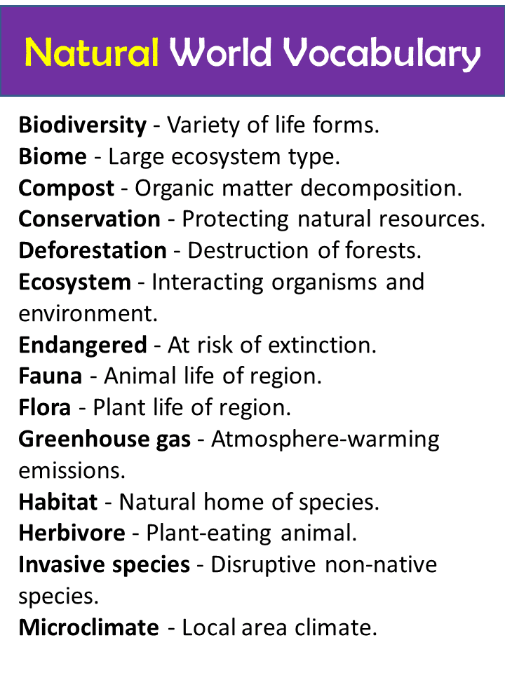 Nature And Environment Vocabulary