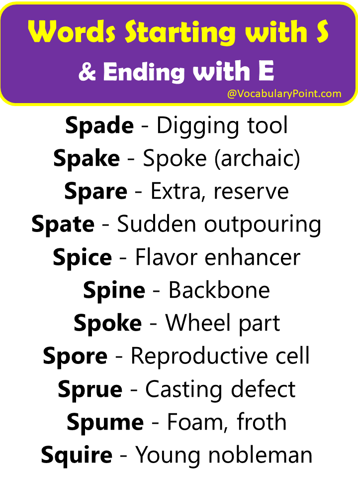 Vocabulary words starting with s and ending with e