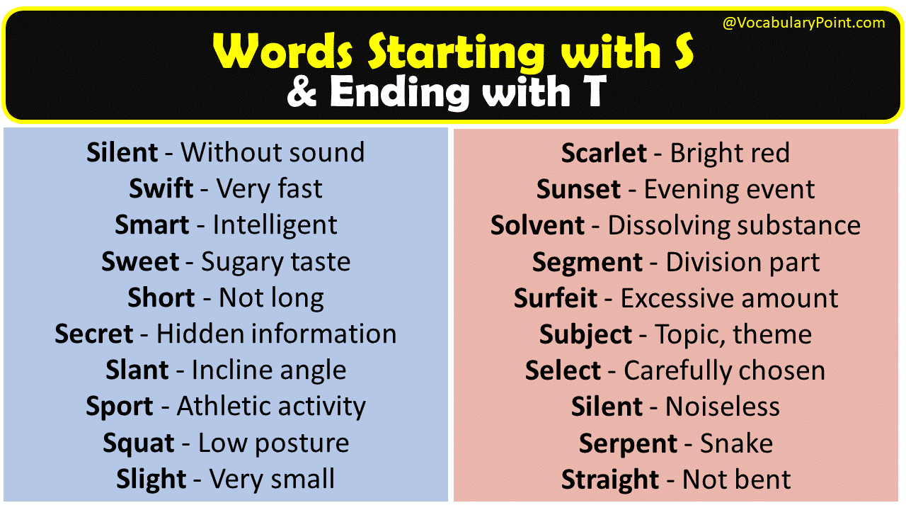 Vocabulary words that start with s and end with t