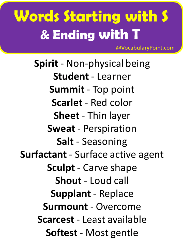Words That Start With S and End With T