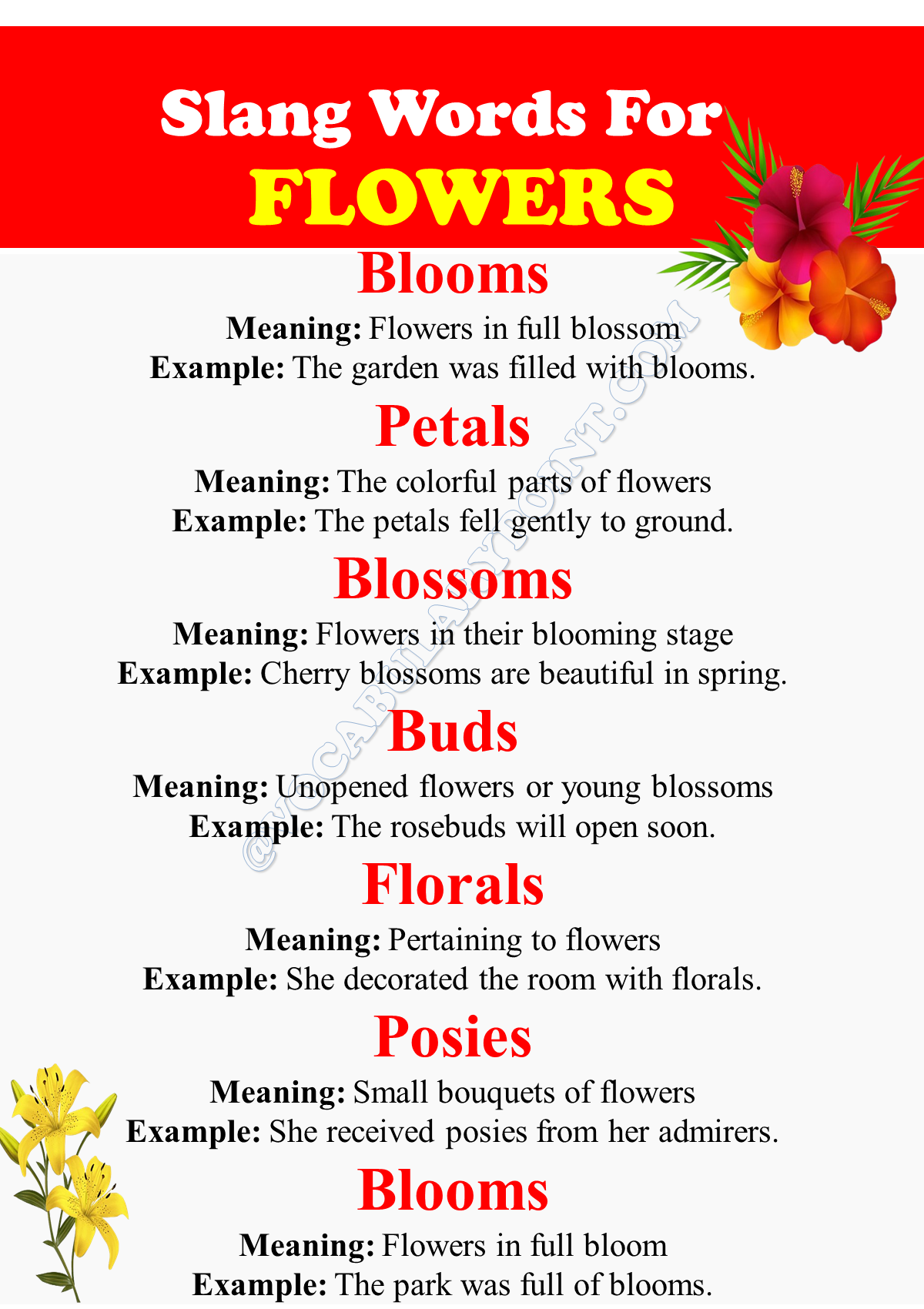 Slang Words For Flowers