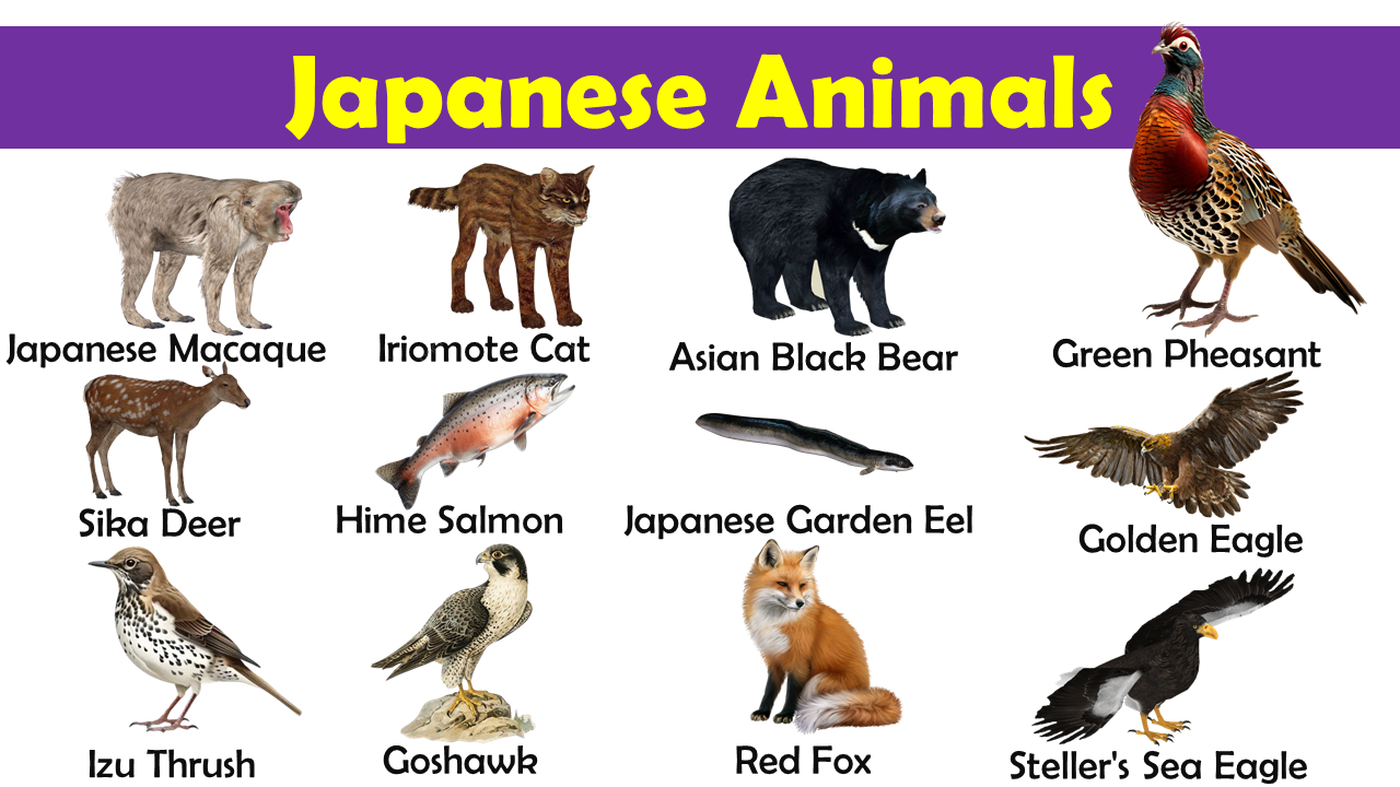 List of Japanese Animals