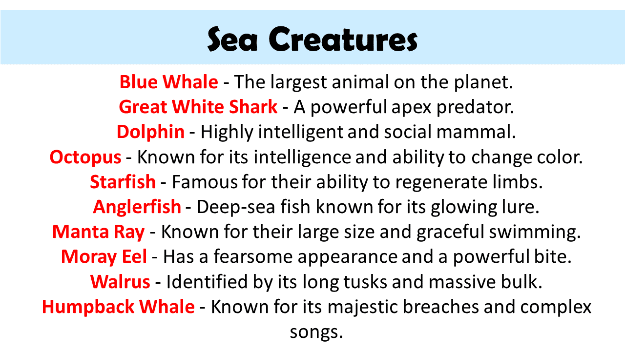 List of Sea Creatures